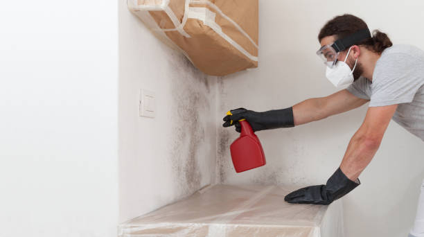 Professional Crawl Space Mold Remediation technician working in Haledon, NJ