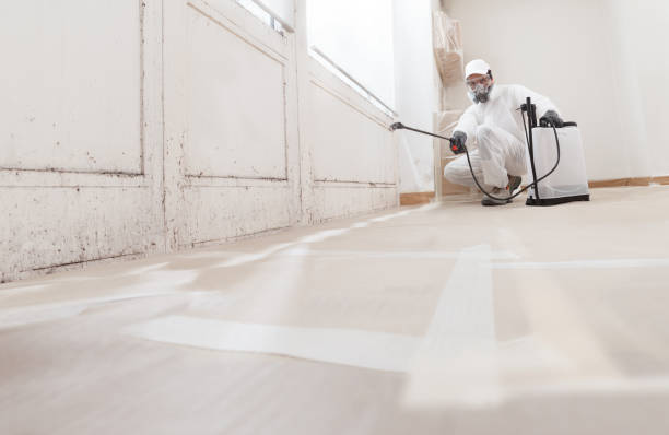 24/7 Emergency Crawl Space Mold Remediation experts in Haledon, NJ