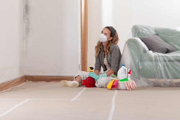 Reliable Crawl Space Mold Remediation contractor in Haledon, NJ by Car Mold Remediation